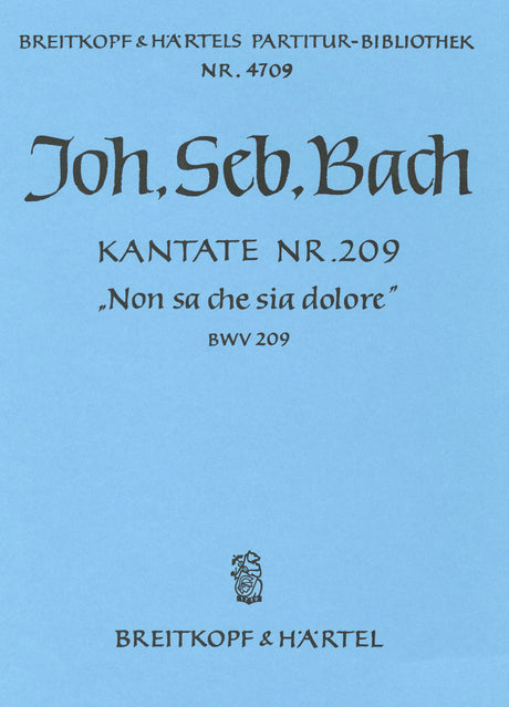 Bach: Non sa che sia dolore, BWV 209
