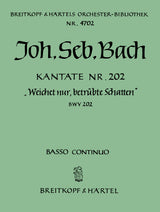 Bach: Weichet nur, betruebte Schatten, BWV 202