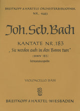 Bach: Sie werden euch in den Bann tun, BWV 183
